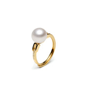 Modern Buckle Natural Pearl Ring