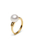 Modern Buckle Natural Pearl Ring
